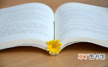 我的梦想作文三年级【精选9篇】